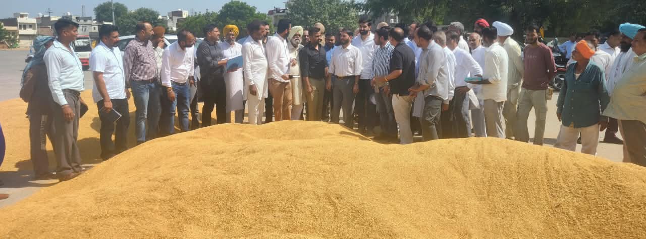 ਬਠਿੰਡਾ ਦੀ ਦਾਣਾ ਮੰਡੀ ਵਿਖੇ ਮੇਅਰ ਅਤੇ ਡਿਪਟੀ ਕਮਿਸ਼ਨਰ ਨੇ ਝੋਨੇ ਦੀ ਸਰਕਾਰੀ ਖ੍ਰੀਦ ਕਰਵਾਈ ਸ਼ੁਰੂ
