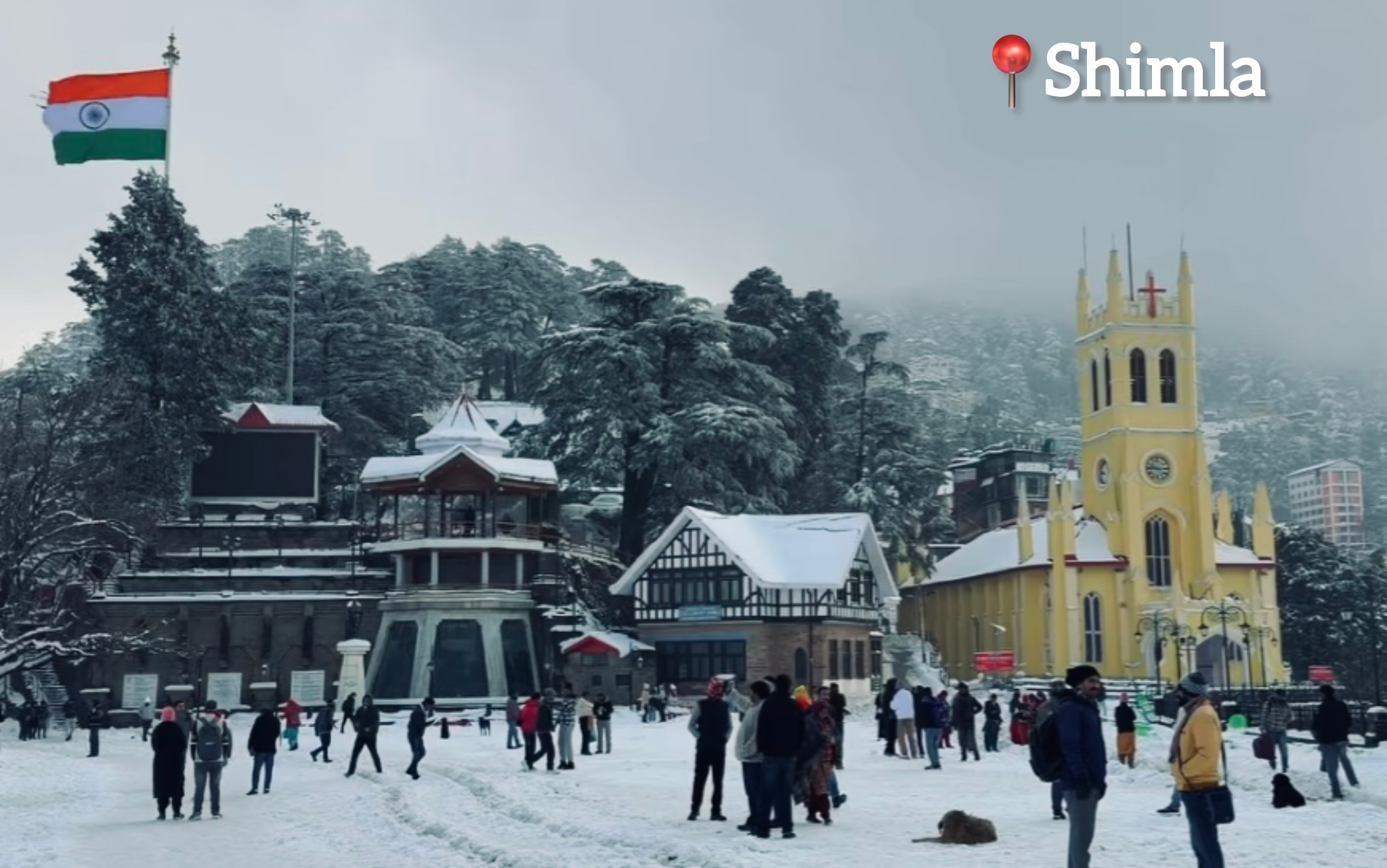 Shimla News: आत्महत्या के लिए उकसाने के मामले में एफएसएल ने जुटाए अहम साक्ष्य
